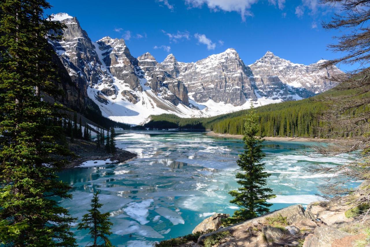 Spectacular Mountain View Corner Unit Pool Hot Tub Park Pass Appartamento Canmore Esterno foto
